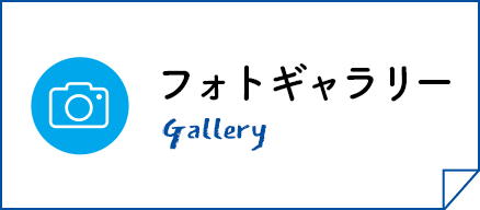 フォトギャラリー Gallery